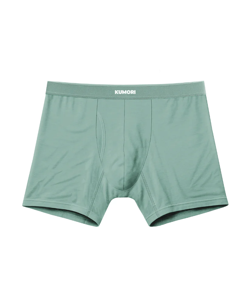 Bamboo Boxer Brief 5" - Image 26