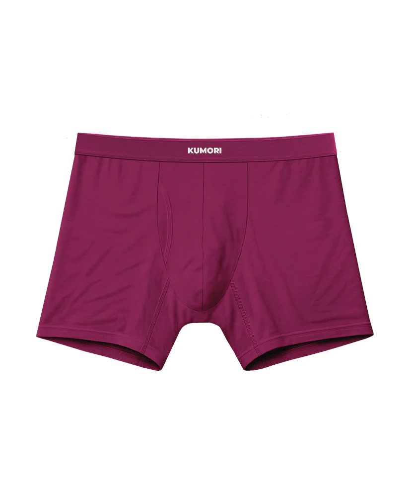 Bamboo Boxer Brief 5" - Image 29