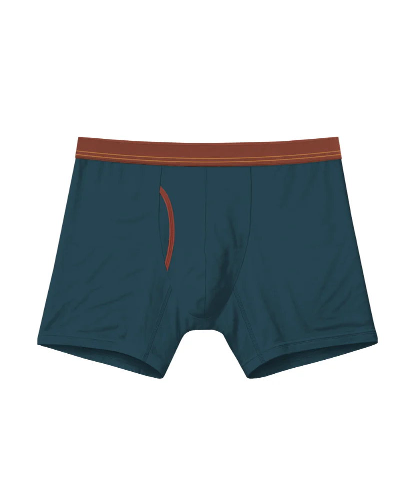 Bamboo Boxer Brief 5" - Image 38
