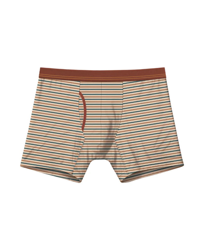 Bamboo Boxer Brief 5" - Image 5