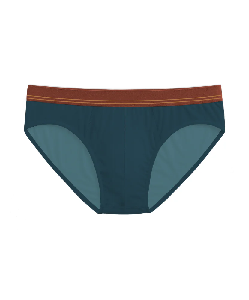 Fall Drop 4 Pack Briefs - Image 5
